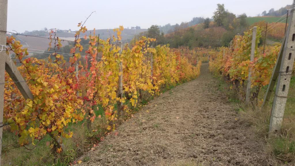 דוליאני Cascina Torello מראה חיצוני תמונה