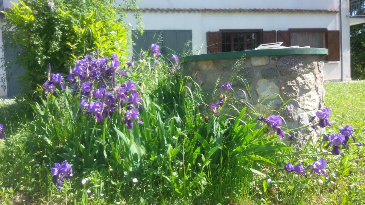 דוליאני Cascina Torello מראה חיצוני תמונה